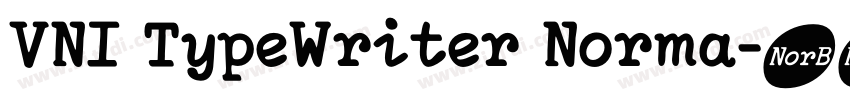 VNI TypeWriter Norma字体转换